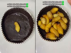 Nyeleneh! Cokelat Dubai Ini Isiannya Ulat Sagu yang Masih Hidup