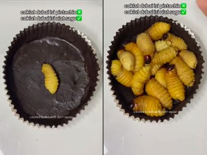 Nyeleneh! Cokelat Dubai Ini Isiannya Ulat Sagu yang Masih Hidup