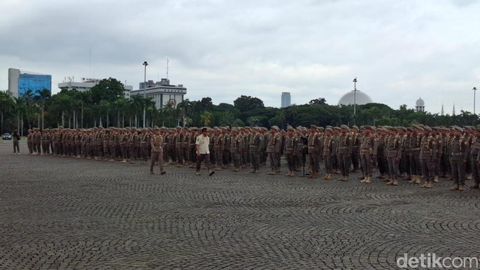 Satpol PP Jakarta. (Brigitta/detikcom)