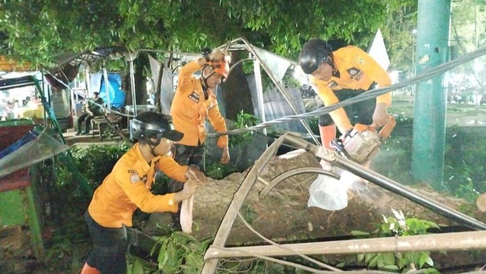 Sejumlah pohon tumbang pada Kamis (19/12/2024) malam, lalu menimpa rumah hingga lapak PKL (dok. BPBD Kab. Bogor)