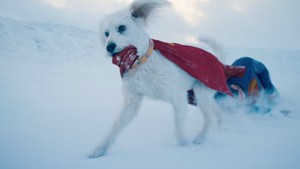 Superdog satu ini juga kuat banget, dia bisa aja bikin Superman kepental atau terbang ngejar dia tanpa effort. Tapi sayangnya Krypto masih belum dilatih sama Supergirl.Masukin Metamorpho di atas Justice Gang adalah pilihan tepat. Dia adalah metahuman yang bisa meniru seluruh unsur di alam semesta bahkan yang belum pernah dilihat sekalipun kayak kryptonite. Dok. Warner Bros