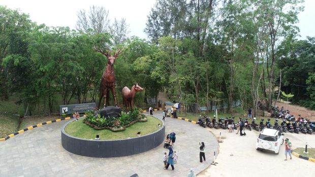 Taman Rusa Sekupang yang terletak di Sekupang, Kota Batam, sekitar 15 km dari pusat kota.(dok. Istimewa)