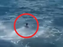 Viral Remaja di Manado Nekat Terjun ke Laut Cari Teman yang Terseret Ombak