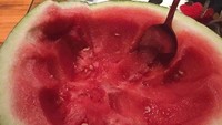 Dibuat seperti mangkuk buah, potongan semangka segar ini bukannya dipotong-potong melainkan disendok langsung ke mulut. Foto: Pool/Site