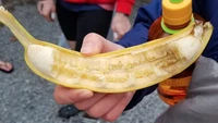 Cukup mudah untuk menyantap buah pisang, tapi netizen ini malah pilih cara rumit untuk menikmati pisangnya. Foto: Pool/Site