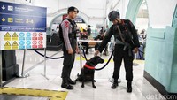Anjing pelacak juga dikerahkan.