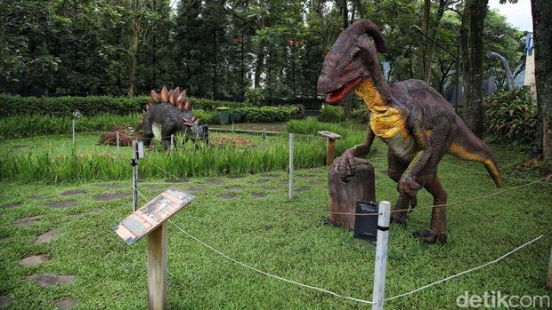 Papa Dino Puncak, wahana baru di Puncak, Bogor, yang memungkinkan traveler melihat dan belajar terkait hewan purba dinosaurus.