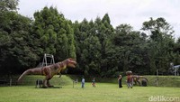 Selain bisa berkeliling bertemu animatronik Dinosaurus dengan berbagai jenis seperti herbivora, karnivora, dan omnivora. Papa Dino cocok untuk wisata bersama keluarga, saudara hingga teman-teman sebagai pilihan Destinasi Wisata di Puncak Bogor.