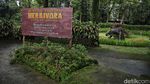 Asik, Sekarang Ada Dinosaurus di Puncak Bogor