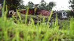 Asik, Sekarang Ada Dinosaurus di Puncak Bogor