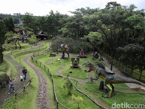 Ini 6 Aktivitas Menarik yang Bisa Dilakukan di Papa Dino