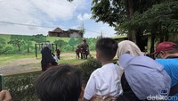 Dirut Operasional KBS Nurika Widyasanti mengungkapkan, perayaan ulang tahun Gonzales juga bertujuan untuk mengedukasi para pengunjung.