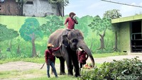 Dalam perayaan ulang tahunnya hari ini, Gonzales mendapatkan kejutan kue buah-buahan favoritnya.