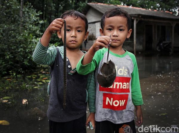 Nestapa Kampung Sembilangan yang Dikepung Banjir Rob