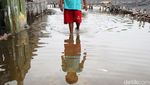 Nestapa Kampung Sembilangan yang Dikepung Banjir Rob