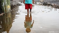 Sekarang, semenjak banjir rob yang tak pernah berhenti membuat bisnis tambak udang sirna dimakan waktu. Hampir setiap hari warga harus menerobos banjir rob yang tak pernah usai. Bagi mereka mau tidak mau menerima bencana ini, karena tidak memiliki pilihan.
