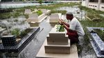 Nestapa Kampung Sembilangan yang Dikepung Banjir Rob