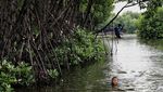 Nestapa Kampung Sembilangan yang Dikepung Banjir Rob