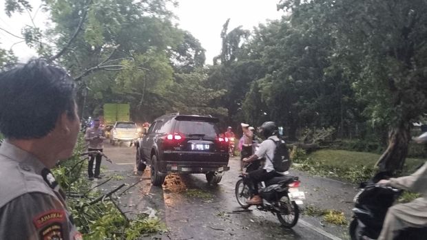 pohon tumbang timpa pemotor di Jalan Raya Wonoayu Sidoarjo