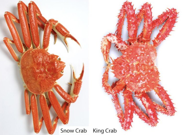 Snow Crab dan King Crab