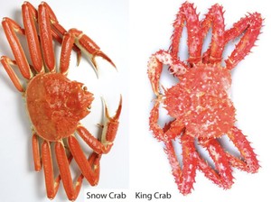 Apa Itu Snow Crab dan King Crab yang Akan Kena PPN 12%?