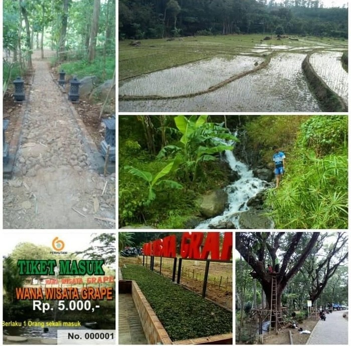 Wana Wisata Grape Madiun