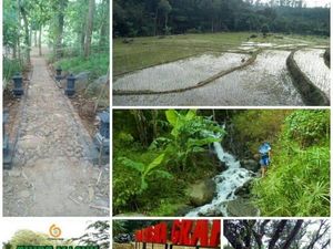 Jangan Lewatkan Liburan Nataru Wisata Grape Madiun di Lereng Gunung Wilis