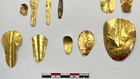 Jumlah lidah emas di sini cukup banyak yang menarik, kata Salima Ikram, profesor Egyptology di Universitas Amerika di Kairo kepada Live Science. Mungkin jasad-jasad itu milik kaum elit yang terkait dengan kuil dan pemujaan hewan yang berkembang biak di area tersebut, tambahnya. Foto: (Dokumentasi Kementerian Pariwisata dan Kepurbakalaan Mesir)