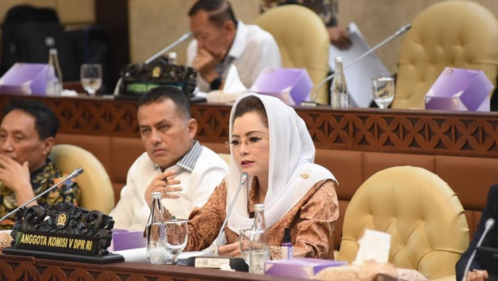 Anggota Komisi V DPR RI Fraksi Partai Gerindra Novita Wijayanti (dok istimewa).