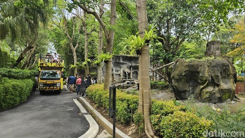 Kunjungan wisata melonjak ke Gianyar jelang Nataru seperti salah satunya di wisata kebun binatang Bali Zoo, Minggu (22/12/2024). (Putu Krista/detikBali).