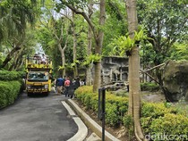 Turis ke Gianyar Mulai Ramai, Dispar Ingatkan Waspada Cuaca Buruk