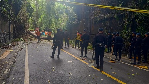 Pohon tumbang dan longsor menutupi akses di jalan Campuhan, Ubud, Gianyar, Bali, Minggu (22/12/2024). (Foto: Dok. BPBD Gianyar)