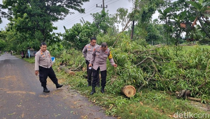 Pohon yang tumbang di Ponorogomenimpa petani hingga tewas