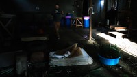 Setelah itu lembaran papirus ditata, ditumpuk dan ditekan dengan mesin hingga menjadi kertas pipih.  