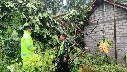 Rumah warga tertimpa pohon di Desa Tukadaya, Kecamatan Melaya, Kabupaten Jembrana Minggu (22/12/2024). (dok. Polsek Melaya)