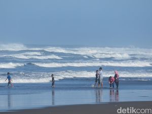 50 Wisatawan Tersengat Ubur-ubur Pantai Parangtritis