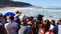 Acara Eddie Big Wave Invitational tahunan ke-39 bertujuan untuk membawa perhatian pada budaya Hawaii.