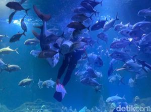 4 Rekomendasi Destinasi Wisata Edukasi di Pangandaran