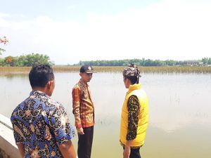 Tanggul Sungai Jebol, Ratusan Hektare Sawah di Lamongan Terendam Banjir