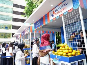 Didukung BRI, Kelompok Petani Jeruk Curup Bengkulu Jangkau Pasar Lebih Luas