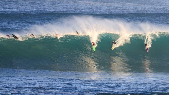 Beragam Aksi Warga Nonton Kejuaraan Selancar Internasional di Hawai Amateur surfers take on the big waves before the start of the Eddie Aikau Big Wave Invitational surfing event at Waimea Bay near Pupukea, Hawaii, U.S. December 22, 2024. REUTERS/Marco Garcia