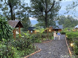 Sensasi Camping Premium Sambil Tanam Kopi di Sukabumi