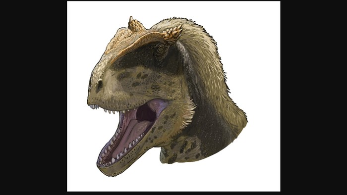 Diperlukan waktu 17 tahun melakukan penggalian di sebuah gurun di Kirgistan. Namun hasilnya, para paleontologi mendapat hadiah luar biasa dari penggalian tersebut, Alpkarakush kyrgyzicus.