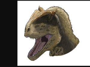 Temuan Mengejutkan Spesies Dinosaurus Beralis Tebal
