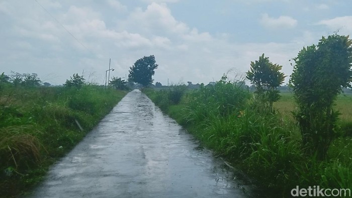 Jalan penghubung Desa Troso-Sumberejo, Kecamatan Karanganom, Klaten, lokasi ditemukannya korban, Senin (23/12/2024).