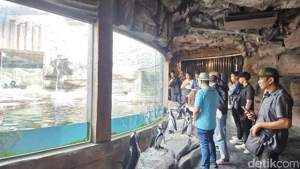 Marine Safari Bali di kawasan Taman Safari Bali menawarkan sensasi petualangan wisata bahari. (Foto: Putu Krista/detikBali)