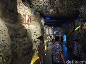 Sensasi Baru Berwisata Bahari di Marine Safari Bali