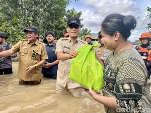 Pj Gubernur Sulsel Tinjau Banjir di Soppeng, Atensi Potensi Petani Gagal Panen