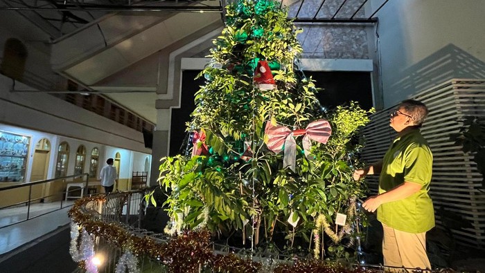 Pohon natal