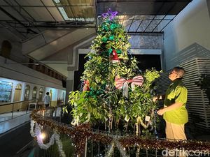 Gereja di Surabaya Susun Aneka Tanaman Jadi Pohon Natal Ekologi